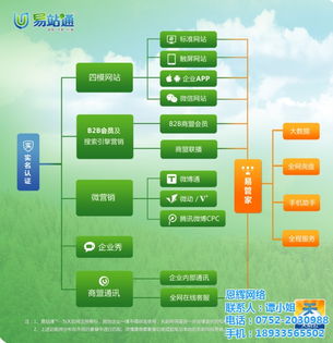 惠州易站通 恩辉网络 惠州易站通代理